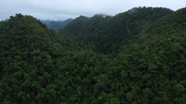 鸟瞰图云雾雨林向后飞行视频素材