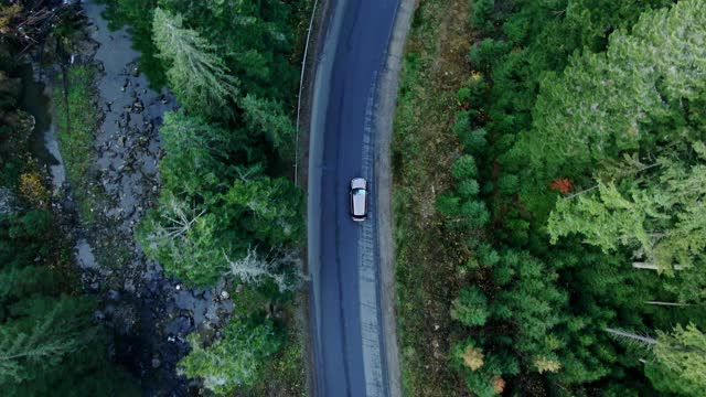 道路穿过绿色森林，鸟瞰图汽车驾驶穿过森林，鸟瞰图森林，森林的纹理从上面看，生态和健康的环境概念和背景视频素材