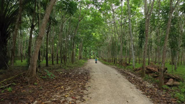 摩托车在肮脏的道路上进入林地视频素材