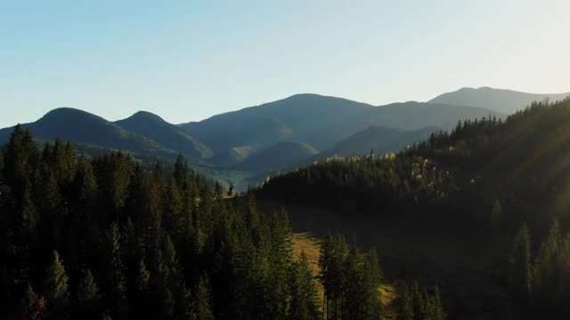 空中pan常绿森林和崎岖的山脉从无人机在清晨在一个风景优美的高山景观视频素材