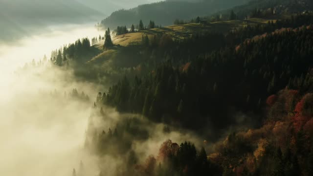 在宁静阳光明媚的早晨，在乡村厚厚的薄雾覆盖的山令人惊叹的无人机视图视频素材