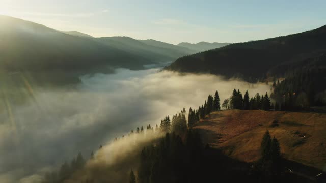 无人机飞行低空云在一个山谷陡峭的森林斜坡和崎岖的山峰在清晨轻无人机镜头视频素材