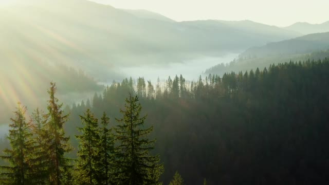 无人机飞行在绿色森林和迷雾山谷之间崎岖的山峰与五颜六色的太阳耀斑和射线从太阳爆发视频素材