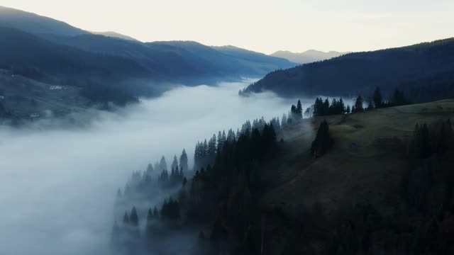 风景如画的无人机的朦胧山谷和山丘与针叶树位于傍晚的天空在农村日落视频素材