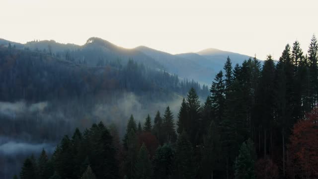 飞过树梢，进入一个雾气蒙蒙的山谷之间崎岖的山峰在清晨在一个大气的景观-鸟瞰图视频素材