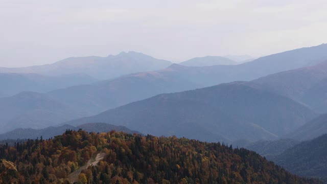 雾层和山顶在大烟山与秋天的森林视频素材