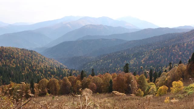 令人难以置信的金秋山景视频素材