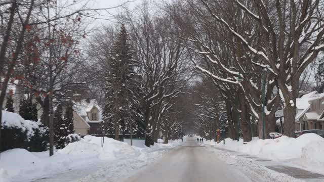 一场冬季暴风雪后，在蒙特利尔蒙特-皇家TMR住宅街道上行驶视频素材