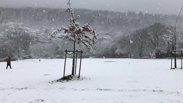 下雪了，一个人在雪地上走着视频素材