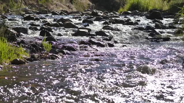 浅水中的石头视频素材