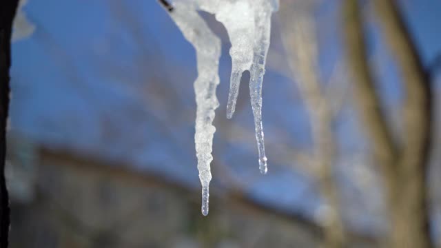 冰柱融化，泉水从冰柱上滴落，近景背景模糊视频素材