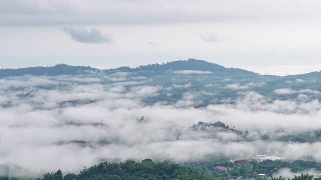 群山环绕，森林上空天然的海雾。视频素材