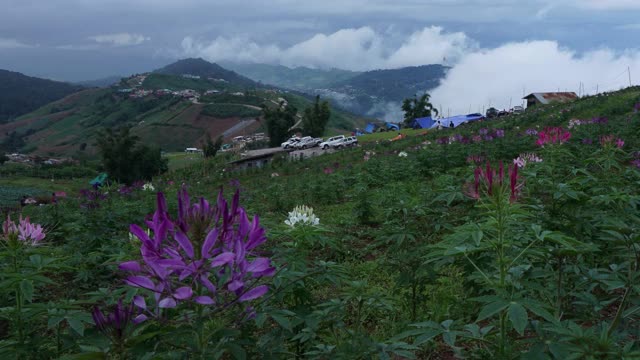 云在山上移动，雾形成并扩散，富塔伯克，碧差汶，泰国。视频素材