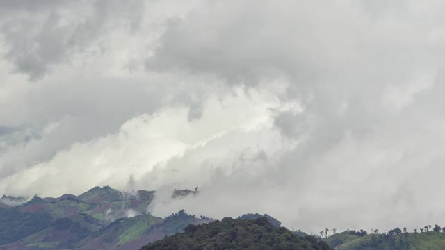 雾和高层云的时间流逝在泰国普图贝尔山顶，雾超过山峰和森林。雨后自然视频素材