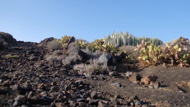 特内里费的景观令人难以置信的火山旅游胜地泰德自然公园在夏季热带气候西班牙国家公园视频素材