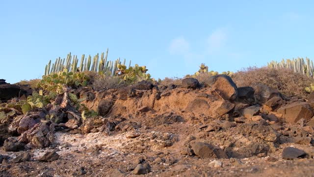 特内里费的景观令人难以置信的火山旅游胜地泰德自然公园在夏季热带气候西班牙国家公园视频素材