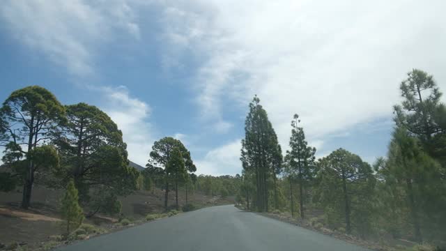 特内里费的景观令人难以置信的火山旅游胜地泰德自然公园在夏季热带气候西班牙国家公园视频素材