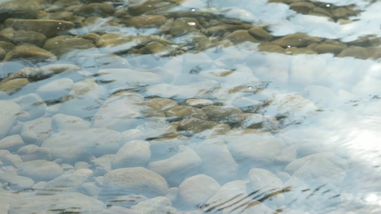 水面清澈的河水，卵石底，背景视频素材