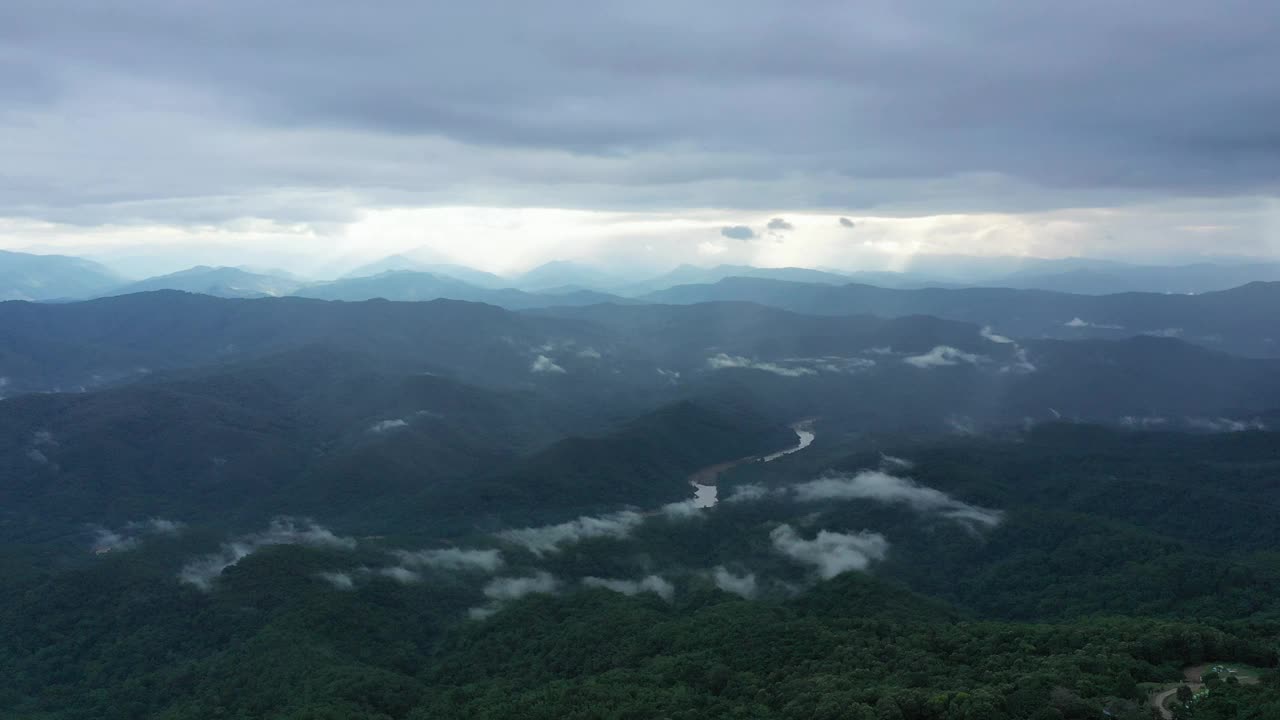 森林上空晨雾的鸟瞰图视频素材