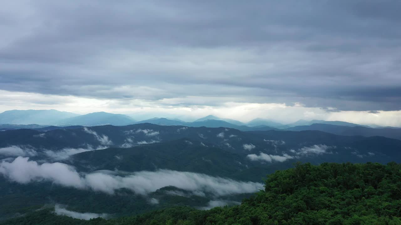 鸟瞰图清晨薄雾在热带雨林山视频素材