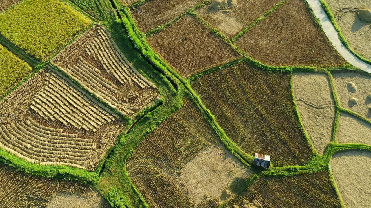 夏季农田鸟瞰图视频素材