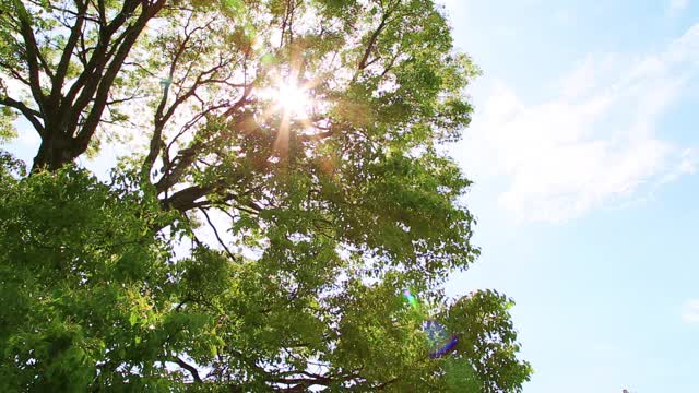 明亮的太阳光视频素材