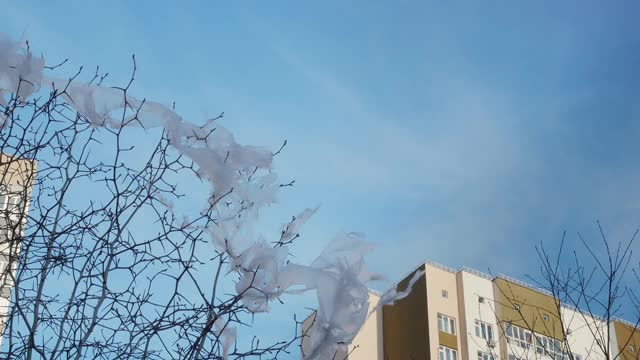 天气晴朗。蓝色的天空。有两座多层建筑。没有叶子的树。撕破的塑料袋挂在树枝上，随风飘动视频素材