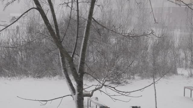 冬天的雪落在欧洲城市的一条街上。降雪气旋。城市的冬天，暴风雪。汽车和住宅建筑背景下的暴风雪。空旷的操场上覆盖着雪。视频素材