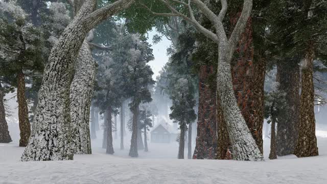 雪落在古老的森林和树林里的小屋视频素材