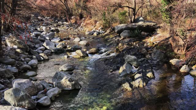 在一个阳光明媚的日子里，一条湍急的山涧在森林中的石头之间流过。视频素材