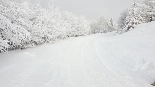 白雪皑皑的山径，雪白的树木，都披上了白霜。在山坡上展开的风景优美。视频素材