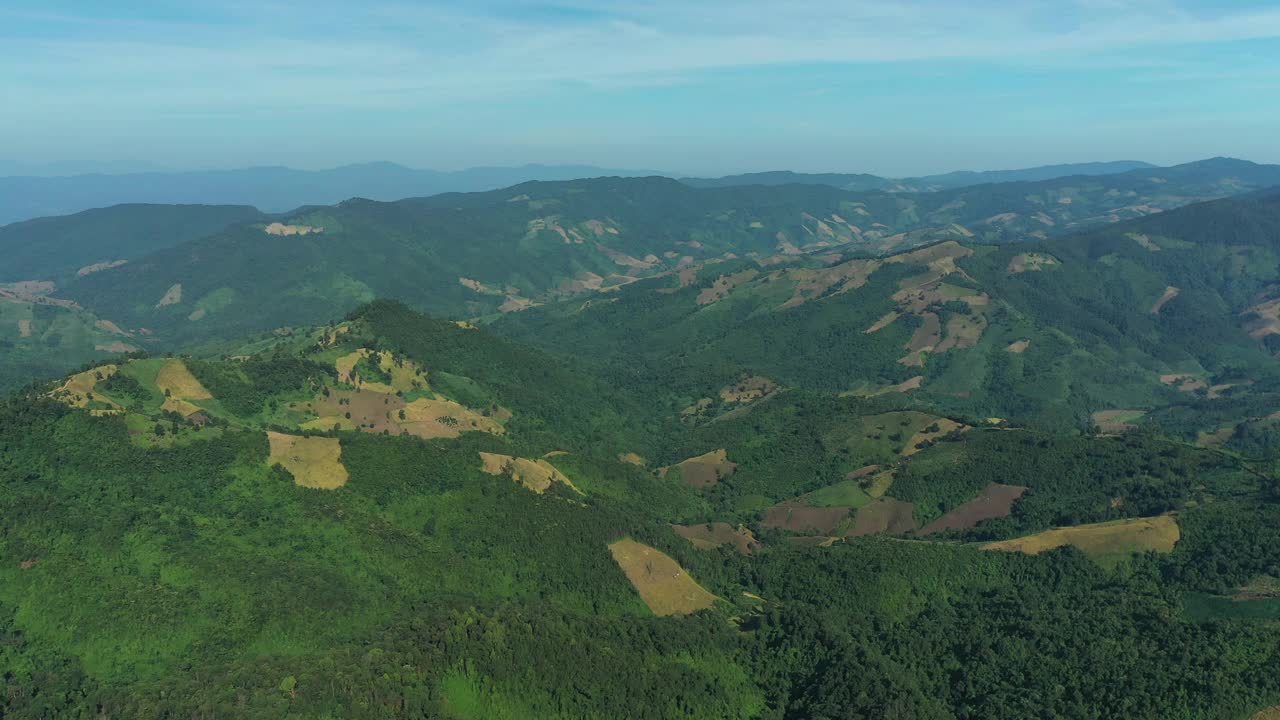 鸟瞰图清晨薄雾在热带雨林山视频素材