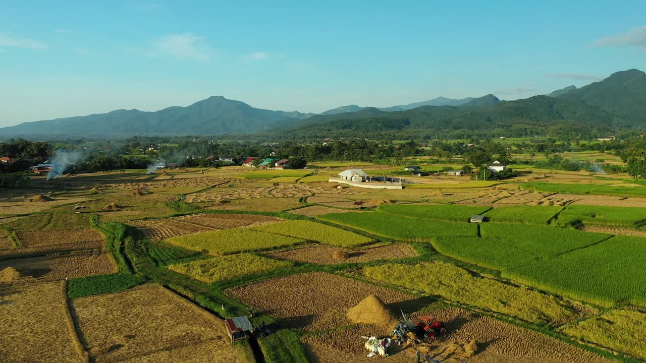 泰国北部的农民正在用机器收割山谷里的稻田视频素材