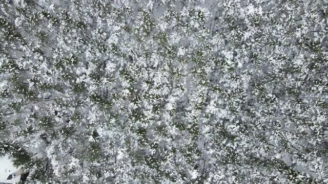 空中漫步，空中野餐区，空中天气森林，空中雪林，视频素材