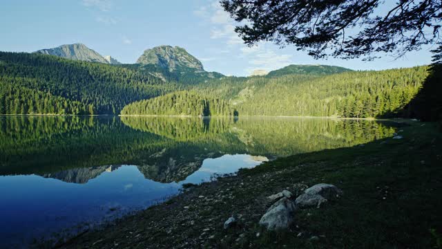 日出时沿着湖岸散步，可以看到远处的山峰和森林丘陵，针叶林倒映在平静的水面上视频素材