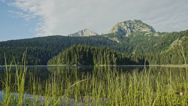 走过高大的绿色野草和芦苇——Durmitor山，黑湖视频素材