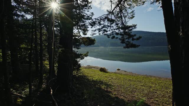 穿过森林到湖边——黑湖Durmitor山视频素材