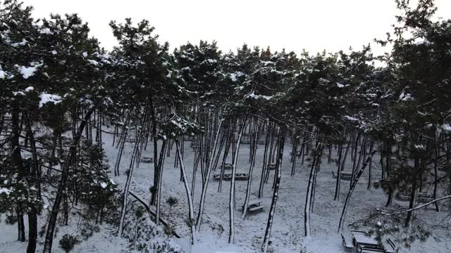 飞行在史诗般的冰雪森林之上，在寒冷的冬季景观，雪覆盖野餐区，雪覆盖休闲区视频素材