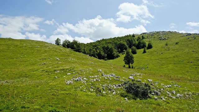 在黑山多云的日子里，镜头正对着长满青草的山坡，山坡上有石头和树木视频素材