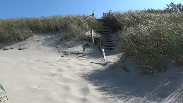 海边沙滩沙丘上破旧的木楼梯视频素材