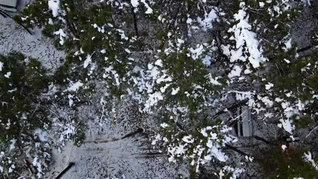 飞行在史诗般的冰雪覆盖森林之上，在寒冷的冬季景观，雪覆盖野餐区，雪覆盖休闲区，雪覆盖树木视频素材