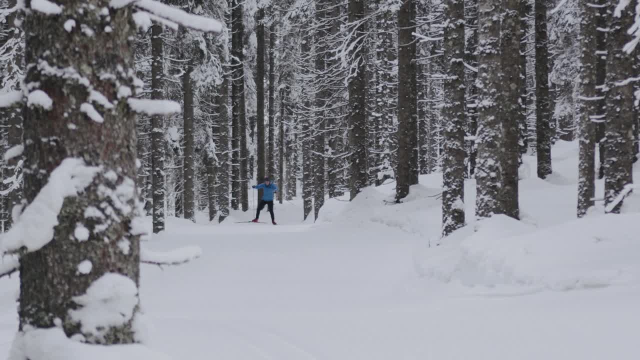 森林里云杉上的雪和冰视频素材