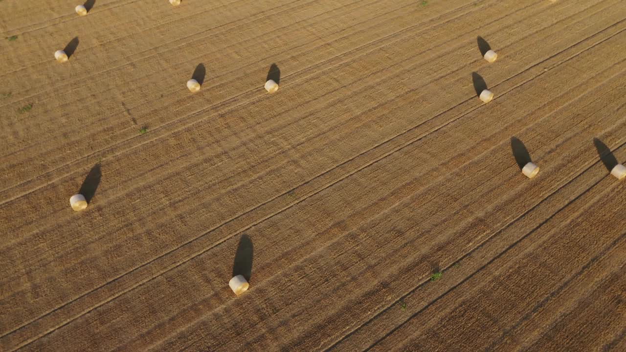 意大利弗里利威尼斯朱利亚的干草包视频素材