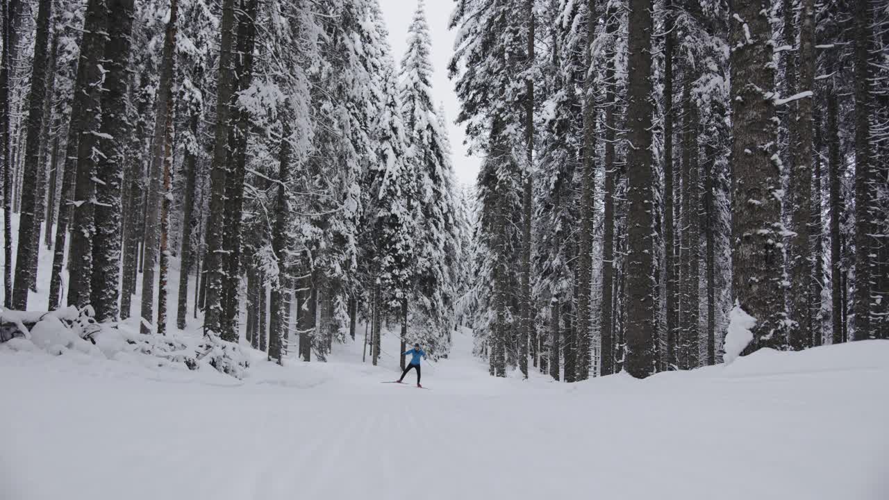 职业运动员的慢动作镜头，越野滑雪运动员在冰雪覆盖的冰冻森林中滑行视频素材