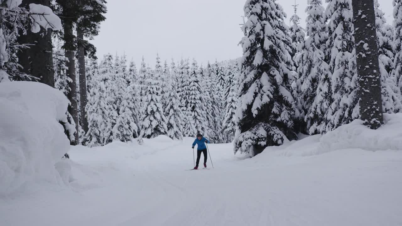 职业运动员的慢动作镜头，越野滑雪运动员在冰雪覆盖的冰冻森林中滑行视频素材