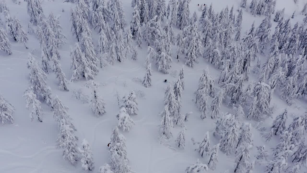 航拍职业运动员在滑雪板上下坡视频素材