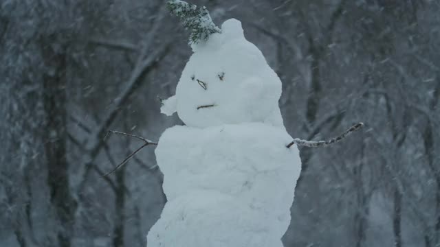 在大雪的背景下，快乐有趣的雪人。视频素材