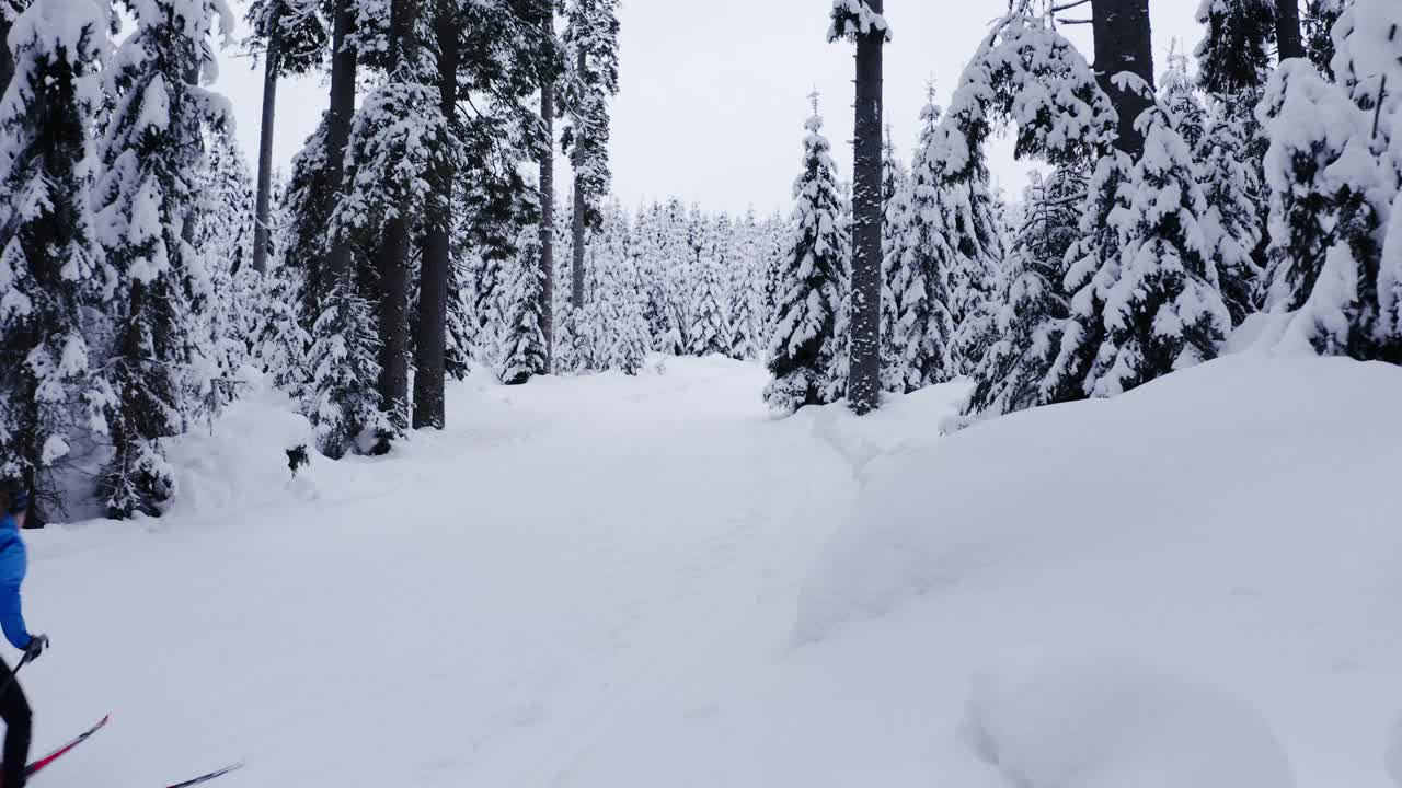 航拍的职业运动员，越野滑雪运动员在冰雪覆盖的冰冻森林的槽上奔跑视频素材