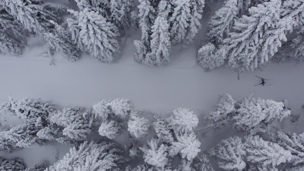 航拍的职业运动员，越野滑雪运动员在冰雪覆盖的冰冻森林的槽上奔跑视频素材