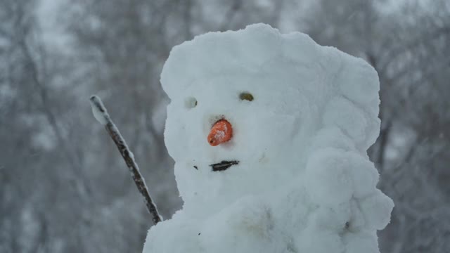 快乐有趣的雪人，背景是一场大雪。镜头缩放视频素材